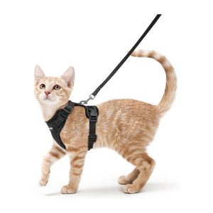 Rabbitgoo Escape-Proof Cat Harness Set